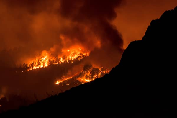 Wildfire rages in a forested area on the Canary island of Tenerife