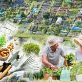 Allotments are plots of land people can rent from their local council to grow their own produce