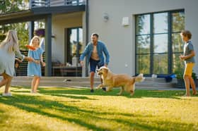 5 best QVC sale products to get your garden ready for spring. Stock image.