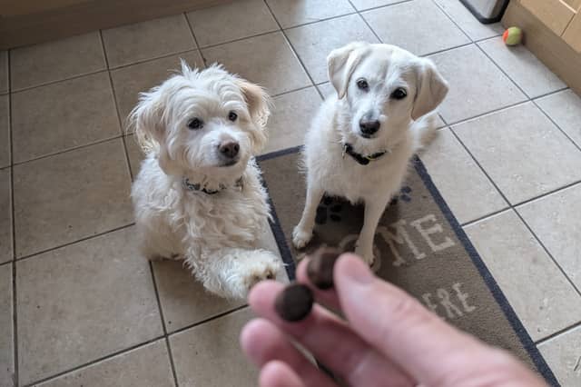 Rupert, left, and Honey, right, absolutely love their daily dose