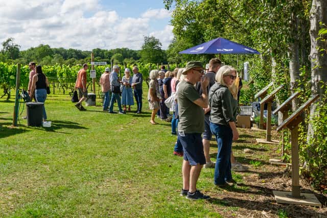 Visitors learning about the history of Warden Abbey Vineyard and how its wine is made