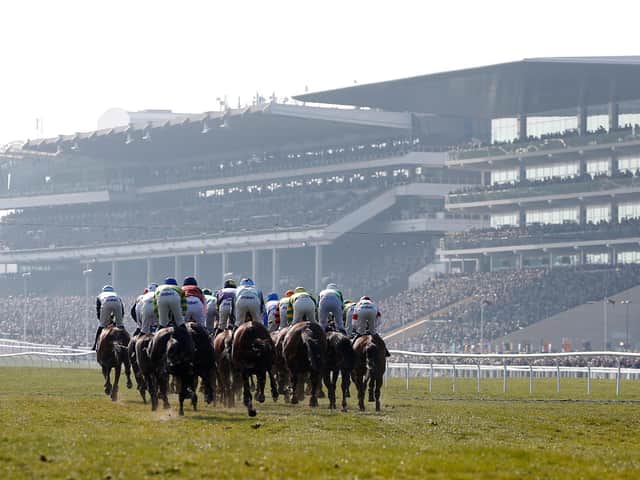 All roads leads to Cheltenham next month