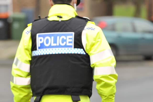 The new panel will scrutinise the use of force by Bedfordshire Police officers