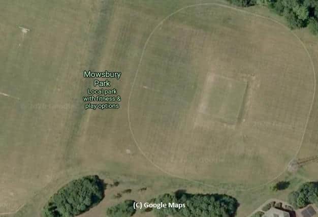 The incident happened in Mowsbury Park in Bedford (C) Google Maps