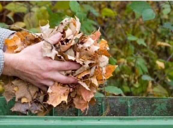 Garden waste collections will returnto a fortnightly service as of Monday