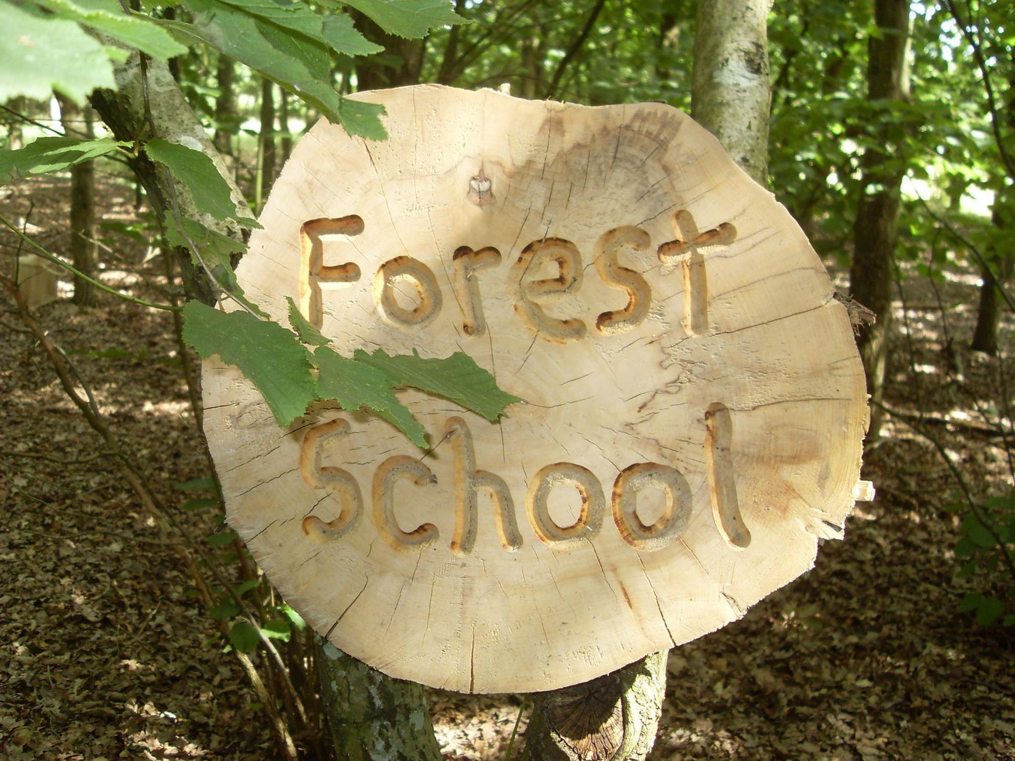 Forest School - Wilden VA Primary School