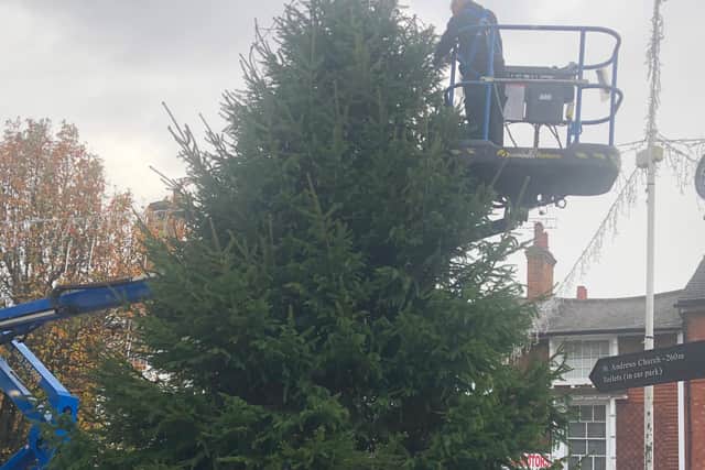 The Christmas tree at Ampthill