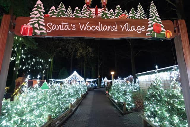 Santa's Woodland Village (Picture by Dynamic Aperture)