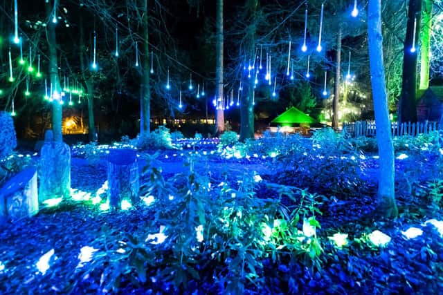 The Enchanted Light Trail (Picture by Dynamic Aperture)