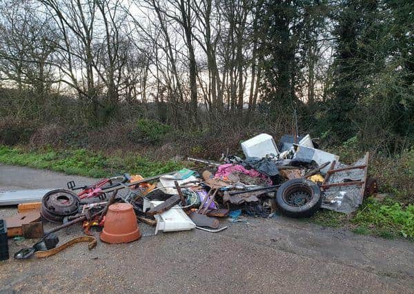 The fly-tipping near Houghton House in Ampthill (Picture by Howard Martin)
