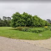 Bedford Park (Google)
