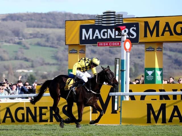Al Boum Photo and Paul Townend pass the finish line to retain the Magners Gold Cup