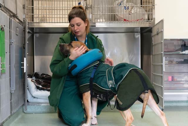 RSPCA is still rehoming and rescuing animals in Bedfordshire