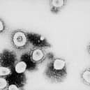 Confirmed coronavirus cases in Bedford remain at seven