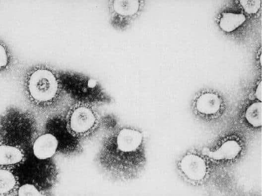 Confirmed coronavirus cases in Bedford remain at seven