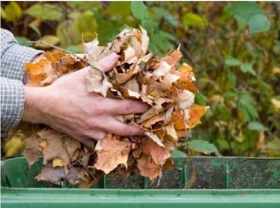 Garden waste collections will resume in Bedford