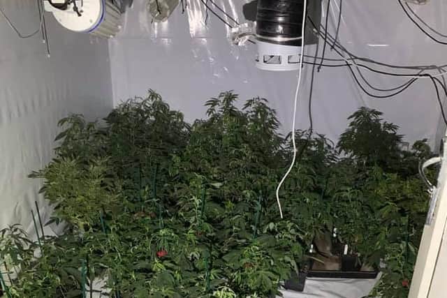 Bedford's Community Policing Team dismantled a cannabis factory in Thurleigh (C) Bedfordshire Police