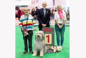 Wendy Halling and Frank, winners of Scruffts Most Handsome Dog class at Discover Dogs 2021, awarded by dog judge, Gerald King and celebrity judge Fifi Robertson Geldof. (Picture courtesy of Yulia Titovets/The Kennel Club)