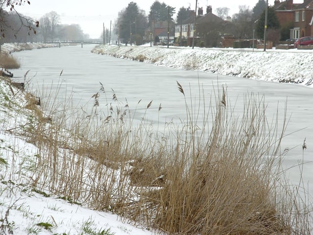 The Maud Foster drain.