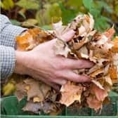Garden waste collections will restart from February 28