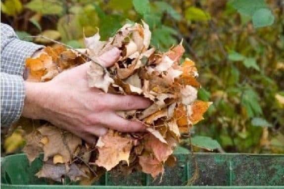 Garden waste collections will restart from February 28
