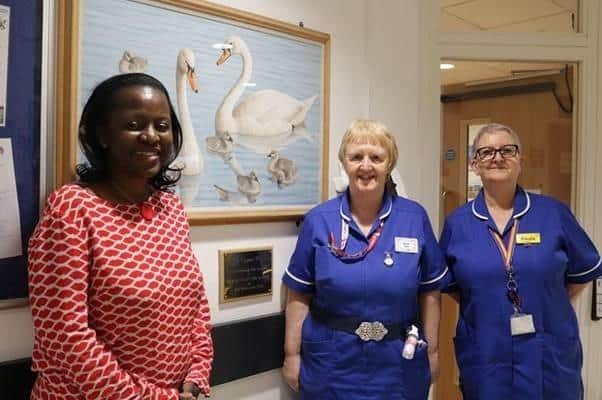 Bedfordshire Hospitals staff who met the Queen, from left, Oseiwa Kwapong, Sue Llewellyn and Paula Rose