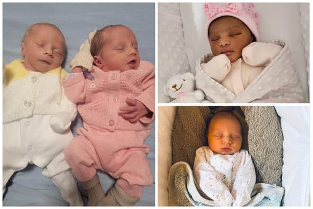 Clockwise, from left: twin brother and sister, Chester and Ava, who weighed 2060g and 2160g respectively; baby Anaya, who weighed 2780g and baby girl Magda, who weighed 2710g