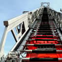 Firefighters used a triple extension ladder to rescue the teen (Picture: Pixabay)