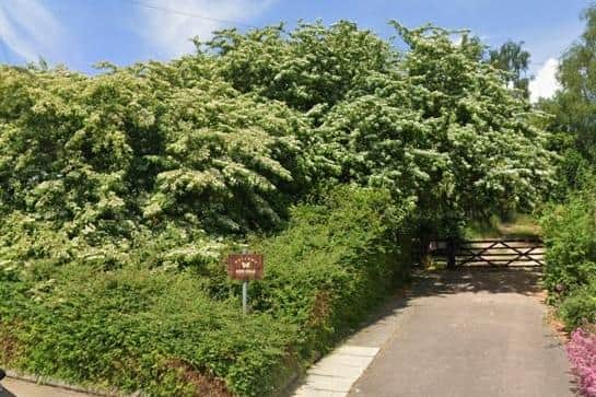 Seven people were stopped and searched for drugs at the Hill Rise Nature Reserve