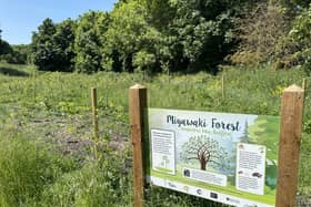 The first Miyawaki forest in Bedford six months on