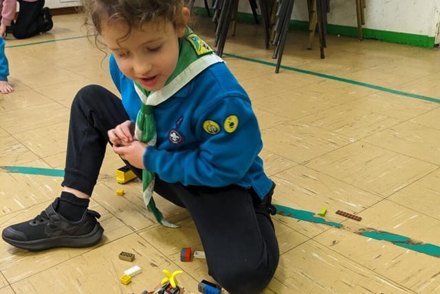 A Beaver constructing something with Lego