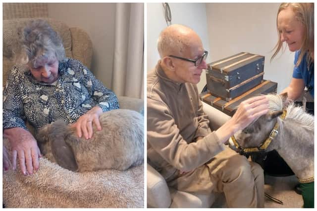 Christoph and Alfie bring joy to residents and staff at Richmond Manor Care Home