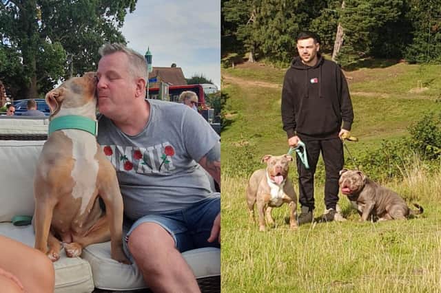 Pictured: Jordan's family with Zola, left, while Jordan walks his American XL Bully and his Olde English Bulldogge. Images from Jordan Gilbert