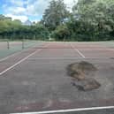 Roots and other vegetation have damaged playing surfaces of Bedford Park\'s tennis courts. Image: Local Democracy Reporting Service