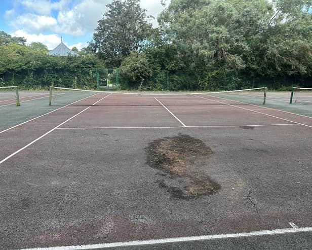 Roots and other vegetation have damaged playing surfaces of Bedford Park\'s tennis courts. Image: Local Democracy Reporting Service