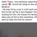 The Bedford hoax on Facebook
