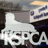Calls to the RSPCA between July and September rose from 27 to 38 year-on-year