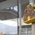 Here's what the little bee hotels look like (Picture: Bee Friendly Trust)