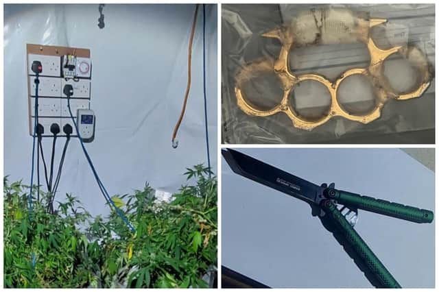 Cannabis plants and weapons seized by Bedfordshire Police in the drugs busts
