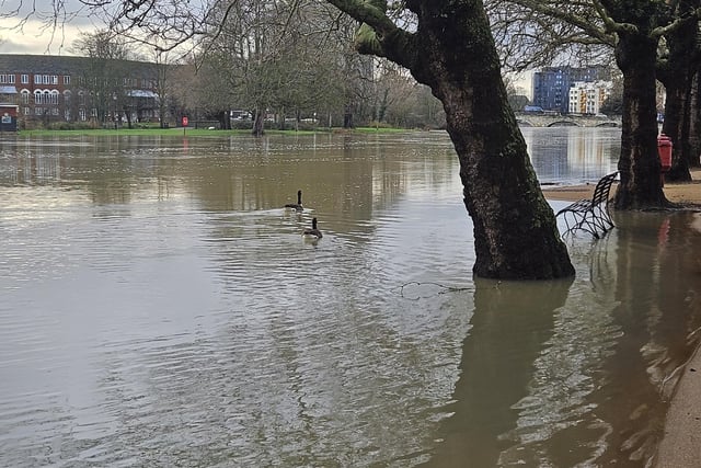 Flooding at Bedford Embankment.