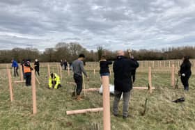 A total of 5,000 trees are to planted across Bedford Borough