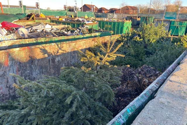 You can recycle your Christmas tree at the tidy tip as well as seven other locations in Bedford
