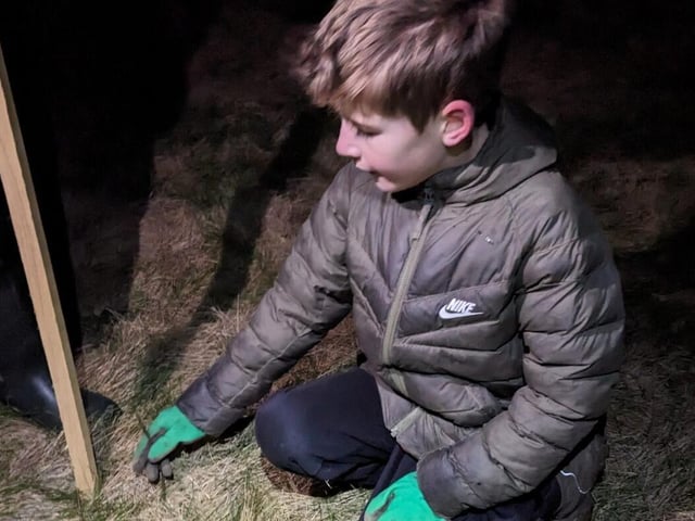 A Scout planting a tree