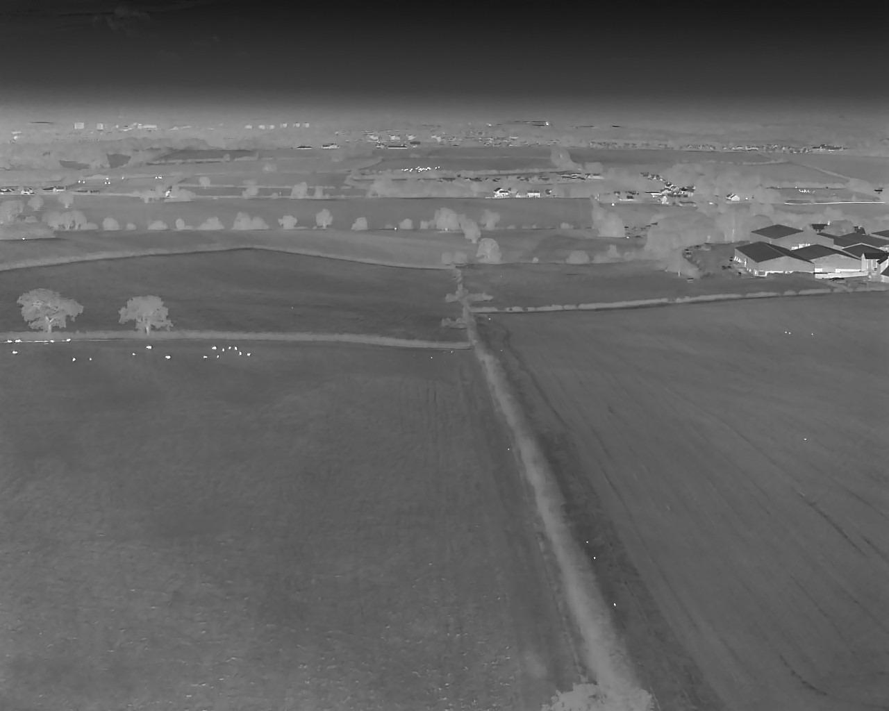 How East West Rail is using drones to survey wildlife in Bedfordshire and beyond