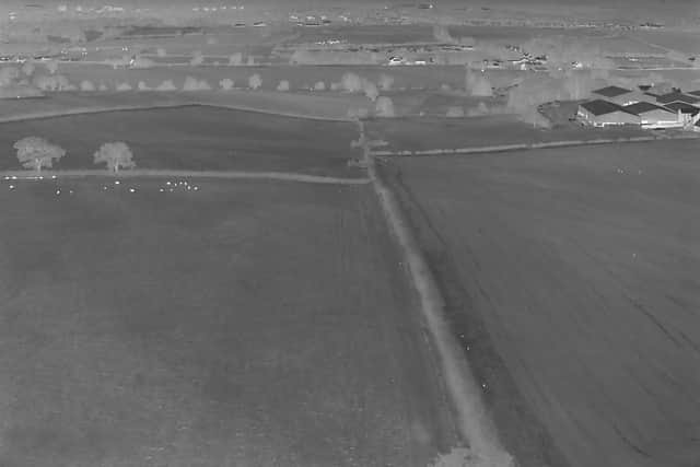 An image picked up by the thermal drone - with wildlife shown as bright white spots