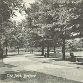 A Nigel Temple Postcard Collection showing a tree lined path through Bedford Park