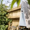BG - The RSPB's Elegance Nest Box for various small birds