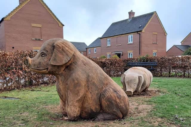The wooden pigs at the Crispin Drive Playground