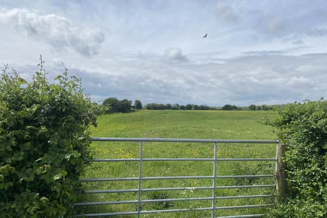 Plans have been submitted to build 20 new homes on the site in Wootton