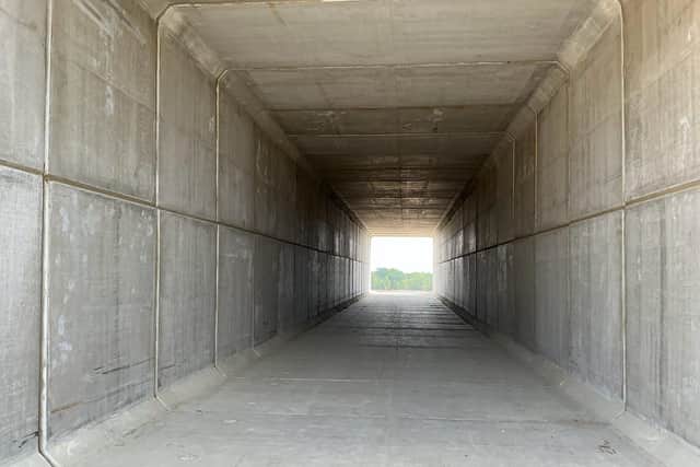 The bat tunnel (Picture: National Highways)